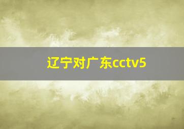 辽宁对广东cctv5