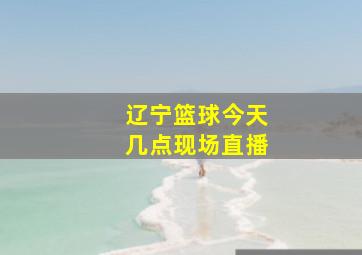 辽宁篮球今天几点现场直播