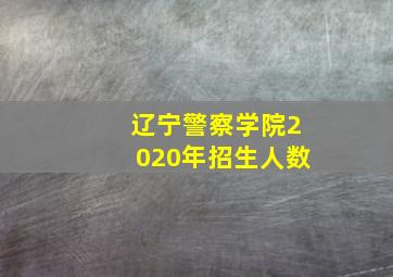 辽宁警察学院2020年招生人数