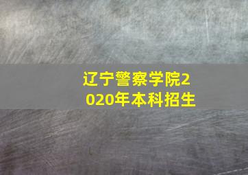 辽宁警察学院2020年本科招生