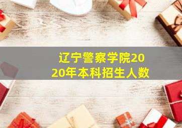 辽宁警察学院2020年本科招生人数