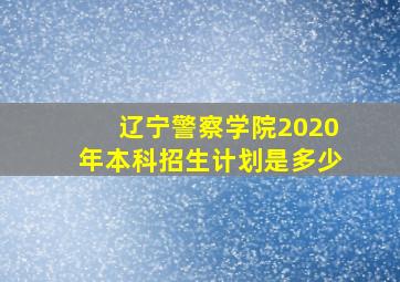 辽宁警察学院2020年本科招生计划是多少