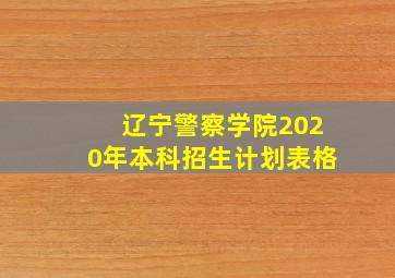 辽宁警察学院2020年本科招生计划表格