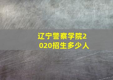 辽宁警察学院2020招生多少人