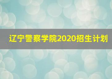 辽宁警察学院2020招生计划