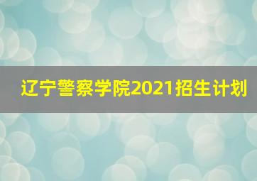 辽宁警察学院2021招生计划