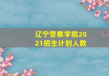 辽宁警察学院2021招生计划人数