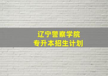 辽宁警察学院专升本招生计划