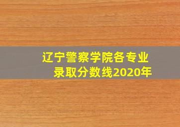 辽宁警察学院各专业录取分数线2020年