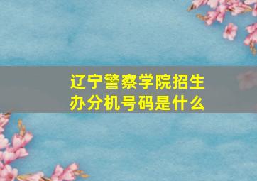 辽宁警察学院招生办分机号码是什么