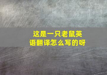 这是一只老鼠英语翻译怎么写的呀