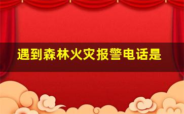 遇到森林火灾报警电话是