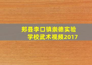 郏县李口镇崇德实验学校武术视频2017