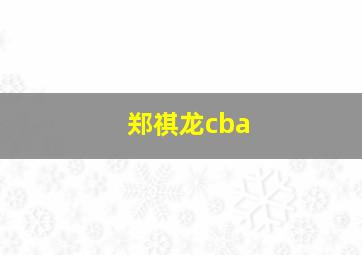 郑祺龙cba