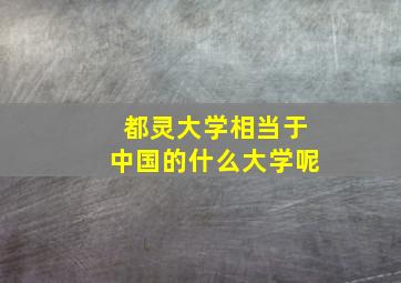 都灵大学相当于中国的什么大学呢