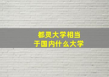 都灵大学相当于国内什么大学