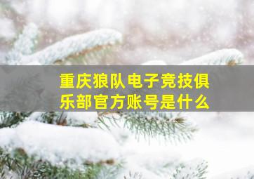 重庆狼队电子竞技俱乐部官方账号是什么