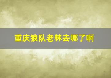 重庆狼队老林去哪了啊