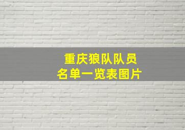 重庆狼队队员名单一览表图片