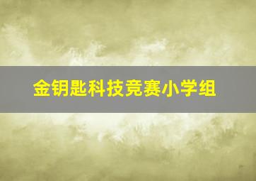 金钥匙科技竞赛小学组