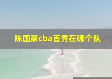 陈国豪cba首秀在哪个队