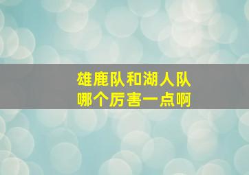 雄鹿队和湖人队哪个厉害一点啊