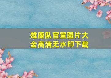 雄鹿队官宣图片大全高清无水印下载