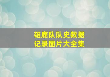 雄鹿队队史数据记录图片大全集