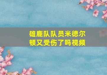 雄鹿队队员米徳尔顿又受伤了吗视频