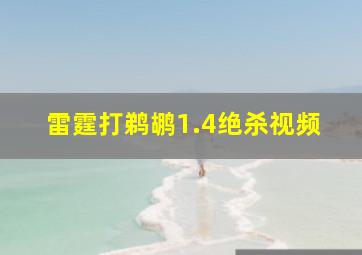 雷霆打鹈鹕1.4绝杀视频