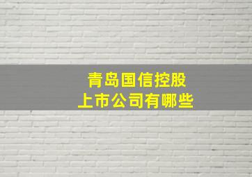 青岛国信控股上市公司有哪些