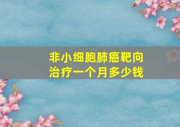 非小细胞肺癌靶向治疗一个月多少钱