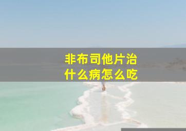 非布司他片治什么病怎么吃