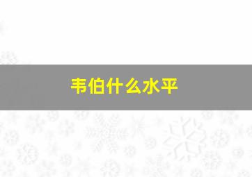 韦伯什么水平