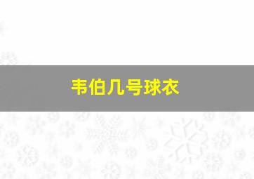 韦伯几号球衣