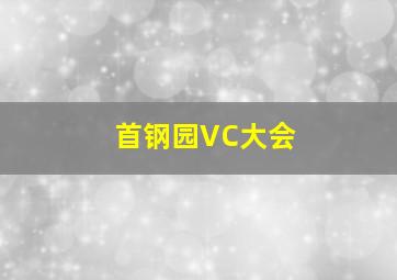 首钢园VC大会