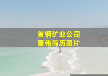 首钢矿业公司董伟简历图片