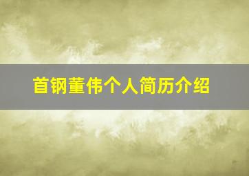 首钢董伟个人简历介绍