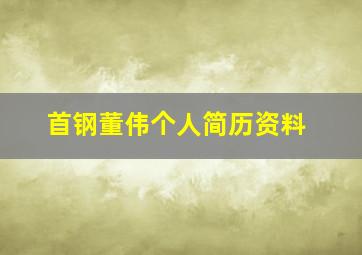 首钢董伟个人简历资料