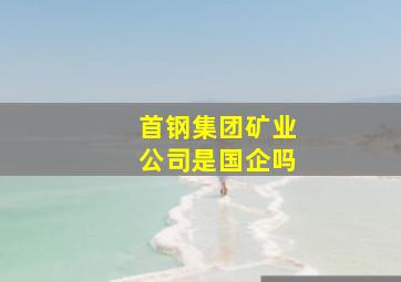 首钢集团矿业公司是国企吗