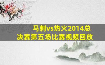 马刺vs热火2014总决赛第五场比赛视频回放