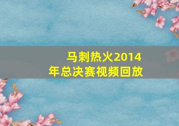 马刺热火2014年总决赛视频回放