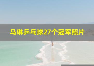 马琳乒乓球27个冠军照片