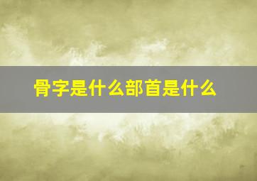 骨字是什么部首是什么