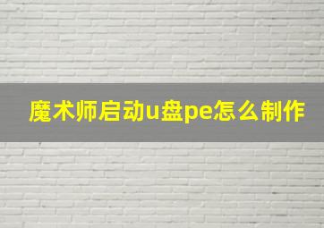 魔术师启动u盘pe怎么制作