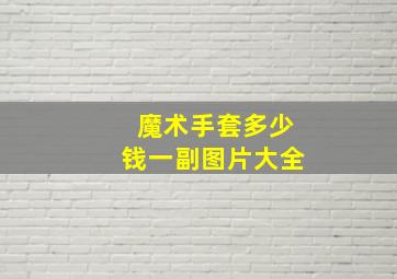 魔术手套多少钱一副图片大全