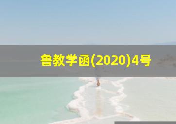 鲁教学函(2020)4号