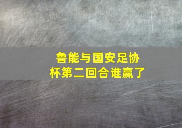 鲁能与国安足协杯第二回合谁赢了