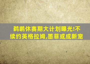 鹈鹕休赛期大计划曝光!不续约英格拉姆,墨菲或成新宠