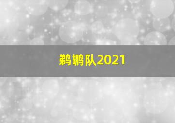 鹈鹕队2021